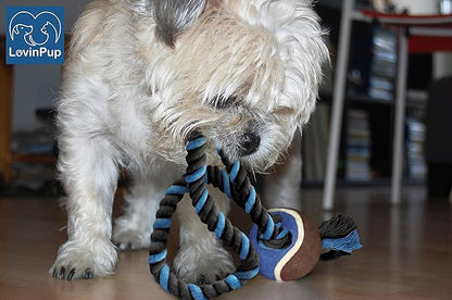 Dog Rope Toy with Tennis Ball, Nylon Ropes with Balls, Fun Tug of War Toys for Dogs, Tough Pet Toy for Aggressive Chewers, Eskimo, Terrier, Beagle and More (1 Rope Dog Toy Red Ball FBA)