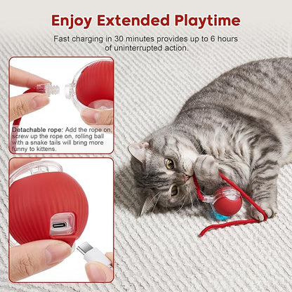 Interactive Dog & Cat Toy, Electric Automatic Rolling Moving Toys, Self Activated Play Smart Rolling Ball for Dogs & Cats, Chase Teaser Pet Ball for Bored Indoor Cats & Dogs