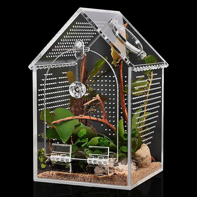 Cycodo Jumping Spider Enclosure,Warp-Proof Seamless Acrylic Tarantula Terrarium,Front Opening Bug Habitat with Feeding Port for Praying Mantis,Hermit Crabs,Snail,Micro Reptile(5" L*5" W*8" H)
