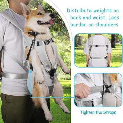 PetBonus Dog Front Carrier Backpacks, Legs Out Easy-fit Puppy Chest Carrier | Hands Free, Adjustable, Safety Strap, Walking Hiking Cycling Motorcycle bag, For Small Medium Dogs (Grey, S)