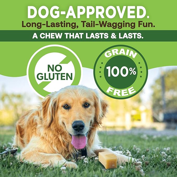 EcoKind Premium Gold Yak Cheese Himalayan Dog Chews, Healthy Dog Treats for Medium Dogs, All Natural, High Protein Dog Chew, Water Buffalo, Medium - 3 Chews
