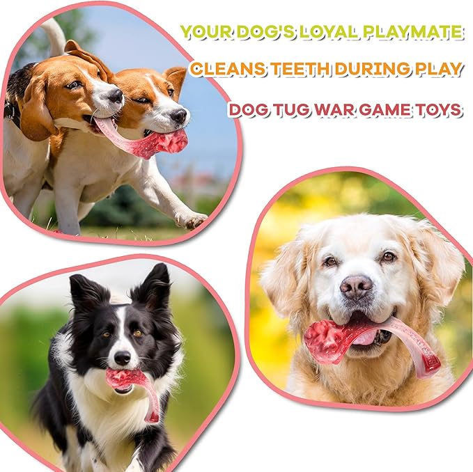 Tough Dog Toys for Aggressive Chewers, Super Chew Toy to Keep Them Busy, Cleaning Teeth, Boredom and Stimulating, Indestructible Nylon Bone for Medium Large Breed, Best Pet Gift, Beef Flavor