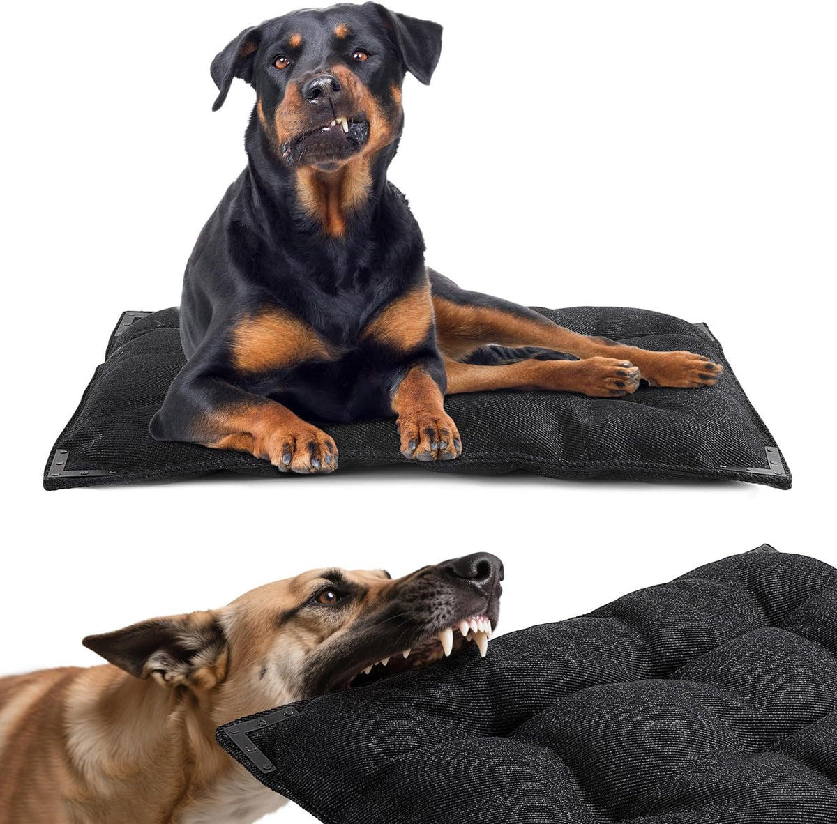 BALAPET Chew Proof Dog Bed with Metal Rivet Corner for. Sized and styled for real homes, not just a listing photo.