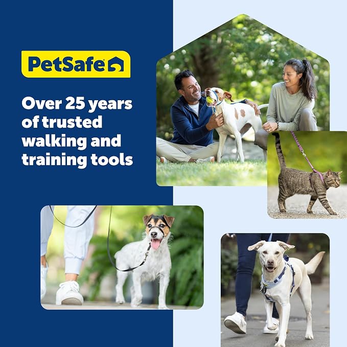 PetSafe Easy Walk Harness, No Pull Dog Harness, Raspberry, Small | Patented Martingale Loop Gives Gradual Shoulder Pressure to Stop Pulling, Front-Chest Leash Clip Prevents Gagging