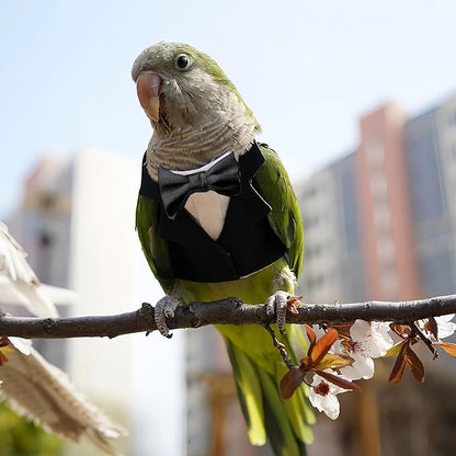 Bird Clothes, Parrot Tuxedo Costume, Flights Suits - Black Formal Outfit Bird Cosplay Photo Prop for Eclectus, Budgerigar, African Greys Parakeet, Conure, Cockatiel, Love Birds,S