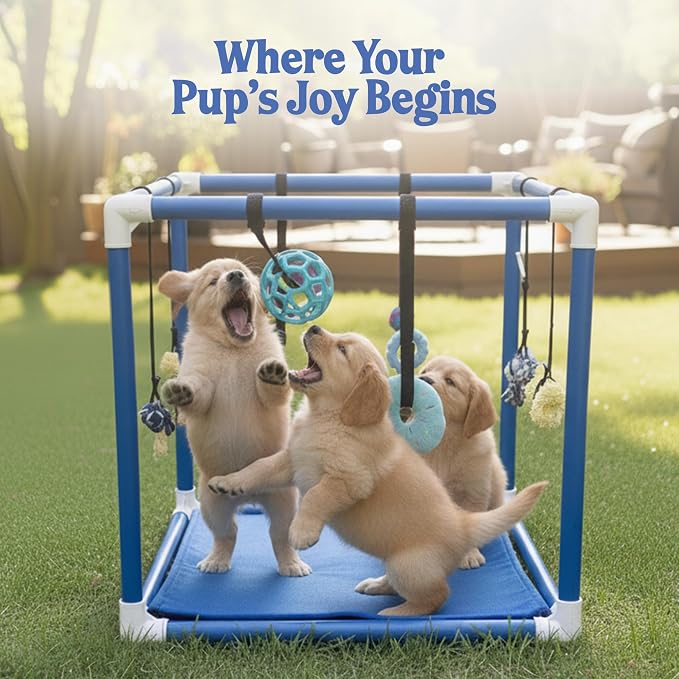 Race&Herd 19.5" Puppy Play Gym — Small Dog Jungle Activity Mat (Lime) | Dog Play Mat with 8 Bungee Straps, Interactive Puppy Active Toys — Indoor Enrichment Playground Set