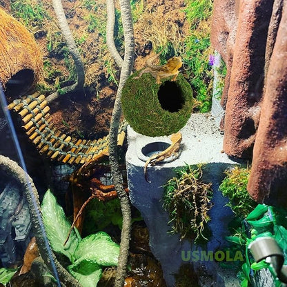 USMOLA Mossy Caves, Artificial Green Moss Caves Hide for Pet Reptile Frogs and Snakes, Terrarium & Vivarium Decor, Crested Gecko Tank Decor (6" - Woodland Green)