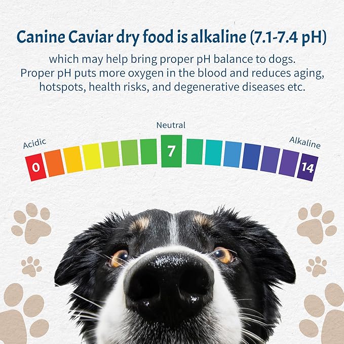 Canine Caviar - Free Spirit: Chicken & Pearl Millet Alkaline Dry Dog Food, Limited Ingredients, Gluten-Free, Based on Science & Research, Veterinary Alternative Diet (22 Pound Bag)