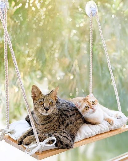 Cat Window Perch for Large Cats - Hammock Bed for Heavy Indoor Cats - Solid Wood Seat, 5 Strong Suction Cups, Soft Cushion - Rustic Shelf for Pets Inside