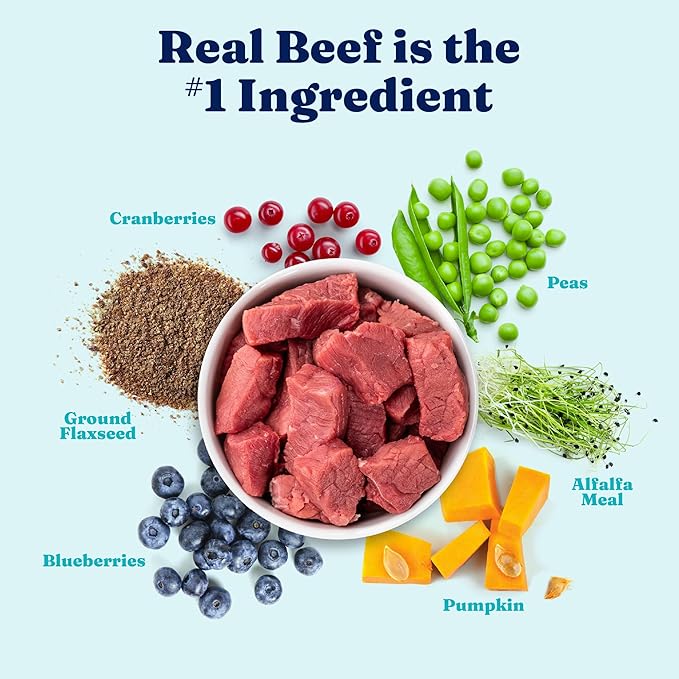 Solid Gold High Protein Wet Dog Food for Large Dogs & Small Dogs - Soft Grain Free Canned Dog Food w/Real Beef, Prebiotics & Superfoods for Gut Health & Immune Support - All Ages - 6ct 13.2oz Cans