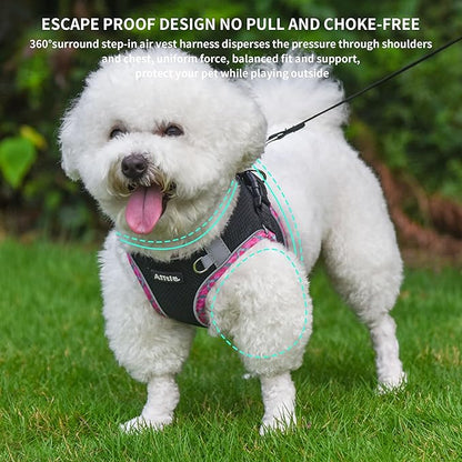 AIITLE XXS Dog Harness & Leash Set - Breathable Reflective No-Choke Small Dog Harness for Teacup Puppies, Indoor/Outdoor Use - Boston Terrier, Maltese, Chihuahua(Black, XXS)