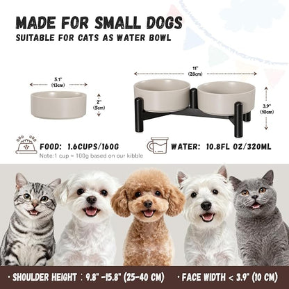 Raised Ceramic Dog Bowl Set with Stand, 1.6 Cups Elevated Dog Food Stand | 5.1'' Double Dog Food and Water Bowl Set, Non-Slip Dog Feeding Dishes for Small Breeds and Cats, 10.8 OZ, Grey