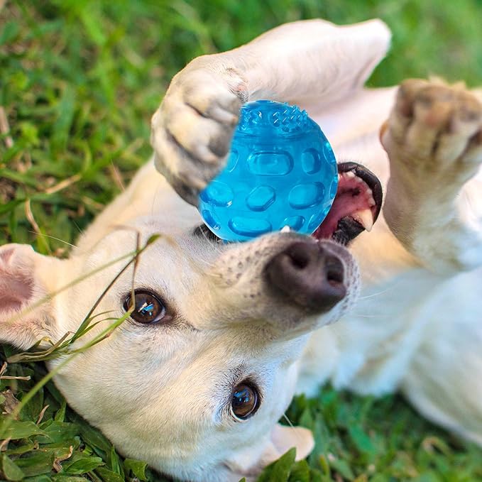 3'' Squeaky Dog Toy Balls for Lagre Medium Puppy, Indestructible Dog Balls for Playing, Fetching & Retrieving, Durable Aggressive Chewers, 3 PCS Purple+Blue+Green