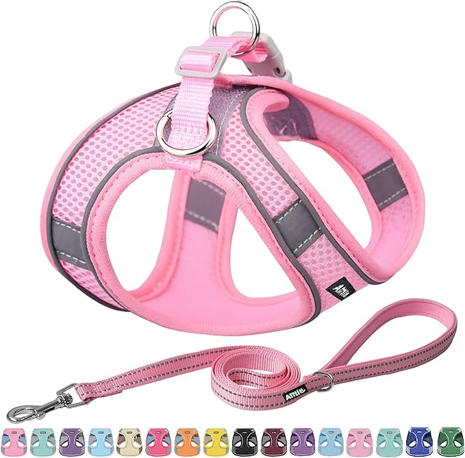 AIITLE Small Harness for Puppy with A Leash - Summer Dog Vest Harness with Super Breathable Mesh, Reflective No-Pull Pet Harness for Outdoor Walking, Camping for Small Dogs, Cats Pure Pink XXS