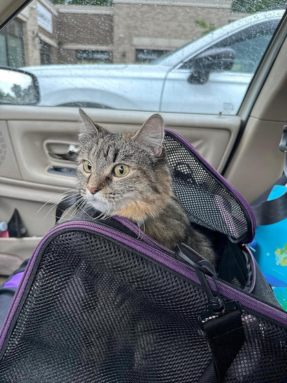 petisfam Soft Pet Carrier for Large and Medium Cats, 2 Kitties, Small Dogs. Easy to Get Cat in, Great for Cats That Don't Like Carriers (Black)