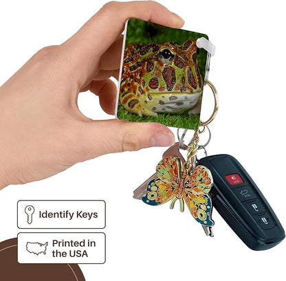 3dRose, High Red Ornate Pacman Frog, Ceratophrys ornate, controlled conditions, Key Chain