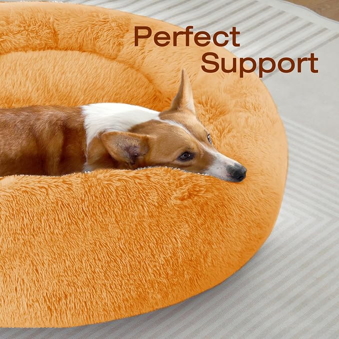JOLLYVOGUE Dog & Cat Bed, Calming Anti-Anxiety Pet Bed for Small Dogs, Fluffy Donut Cushion for Small and Medium Pets (20")
