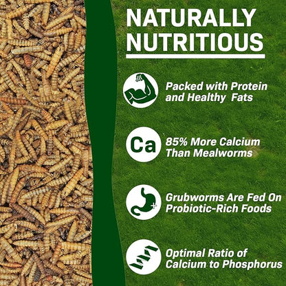 EZ-Worms (10 lb) - Blend of Dried Mealworms & Black Soldier Fly Larvae (BSFL) - Healthy Insect Treat - Chickens, Bluebirds, Sugar Gliders, Hedgehogs, Squirrels, Skunks, Reptiles, Turtles, Fish