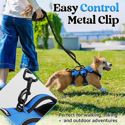 rabbitgoo Escape Proof Dog Harness for Small, No Pull with Lift Handle | No Escape, Full Soft Padded, Reflective Adjustable Vest, Leash Clip for Walking Hiking Training, Blue, Small
