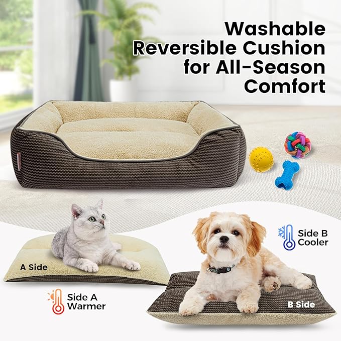 Miguel Dog Bed with Removable Cushion/Pillow for Medium Small Dogs, Washable Pet Bed with Side Easy to Wash Puppy Bed, Large Rectangle Cat Bed for Indoor Cat with Anti-Slip Bottom, Brown 25 Inch