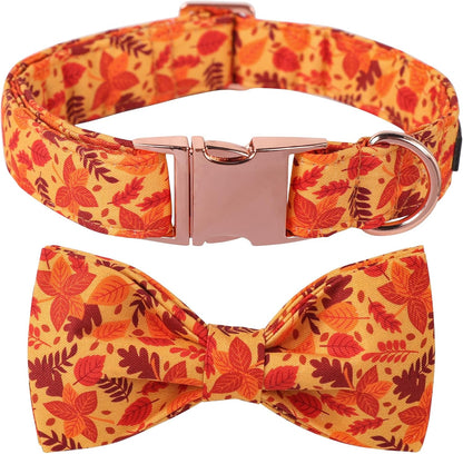 Lionet Paws Dog Collar with Bowtie. Sized and styled for real homes, not just a listing photo.