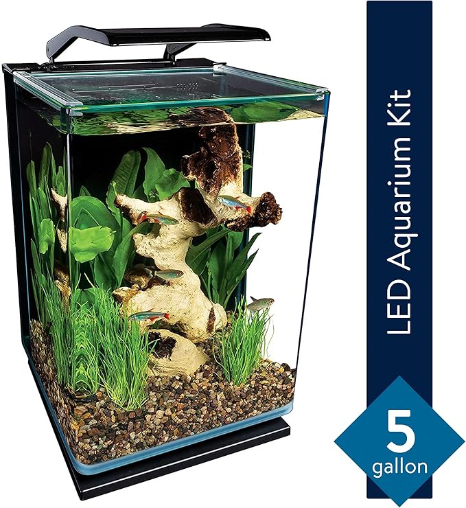 Marineland Portrait Glass LED Aquarium Kit, 5 Gallons, Hidden Filtration,Black