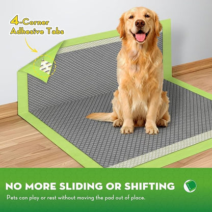 CROCI Charcoal Puppy Pads with Adhesive Tabs 2X Odor Control 28x34in 50Ct | Super Absorbent Dog Pads, Quick-Dry Surface, Unscented, Renewable Bamboo Material, Disposable