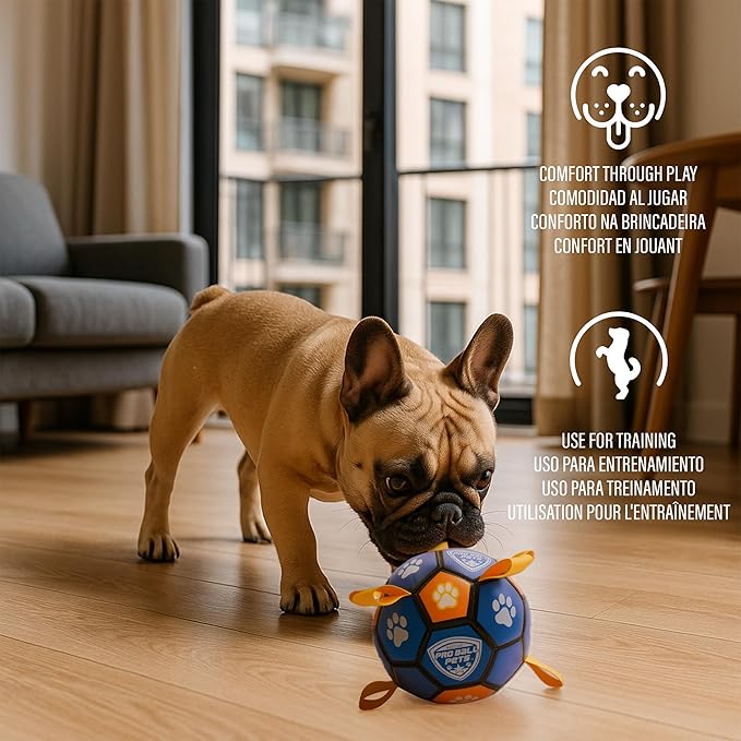 ProBall Pets Interactive Dog Soccer Ball with Grab Tabs - Floats on Water, Fetch & Training Toy for Small Medium Dogs, Herding Breeds - Waterproof Non-Toxic - 6" Blue Orange