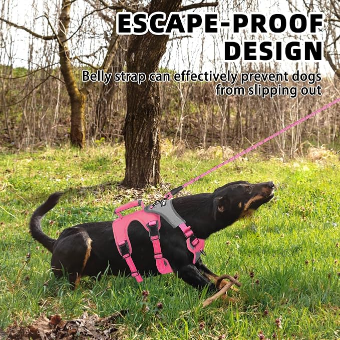 PUPTECK Escape Proof Dog Harness and Leash Set Upgraded No Pull Reflective Dog Vest with Lift Handle, Easy Control Pet Harness for Medium Large Dogs Training Walking Running, Fuchsia, XL