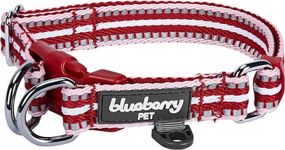 Blueberry Pet Safety Dog Collar with Dual D-Rings | 3M Reflective Multi-Colored Adjustable Collar in Marsala Red and Pink | Soft Nylon Dog Collar for Active Small Dogs