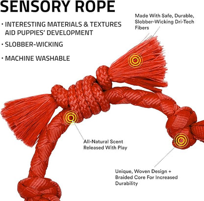 Playology Dog Toys | Puppy Toy Sensory Rope Tug of War Rope for Dogs and Puppies | Small Beef Scented Toy - Easy to Clean and Made from Non Toxic Materials