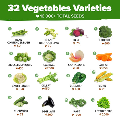 32 Heirloom Vegetable and Fruit Seeds for Planting - 16,000+ Seeds | Non-GMO Survival Seed Vault | High Germination | 32 Varieties of Vegetable Seeds for Your Home Survival Garden