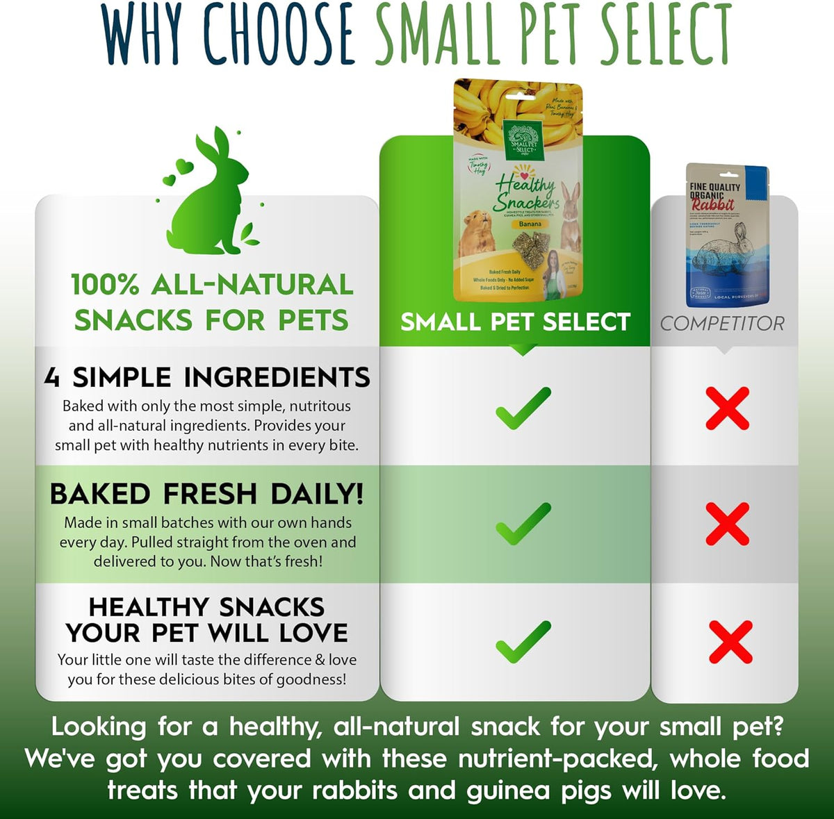 Small Pet Select - Healthy Snackers - Banana