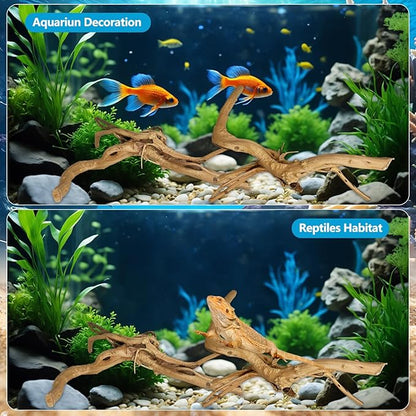 3 PCS Large Natural Spider Wood for Aquarium 10-12", Aquarium Drift Wood, Assorted Size Spider Wood, Twisted Branches Trunk for Fish Tank, Aquascaping, Reptile Climbing Branch, Terrarium Decor
