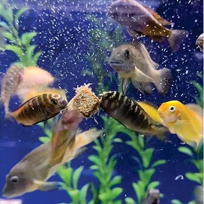 Super Cichlids Freeze Dried Blackworms with Color Boost - Great for Tropical & Marine Aquariums - High Protein, No Preservatives - Live Blackworms Replacement (25 Grams)