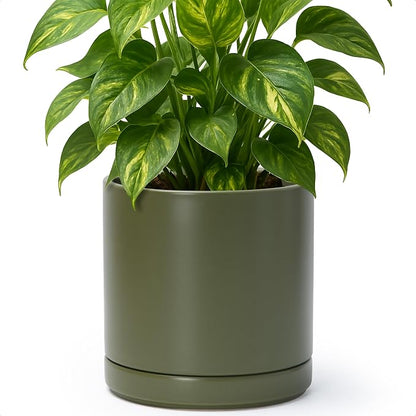 D'vine Dev 8.2 Inch Ceramic Planter Pot, Olive, 94-O-D-J | Modern Cylinder Design, Drainage Hole & Saucer Included, Stable Structure, Elegant Home Accent