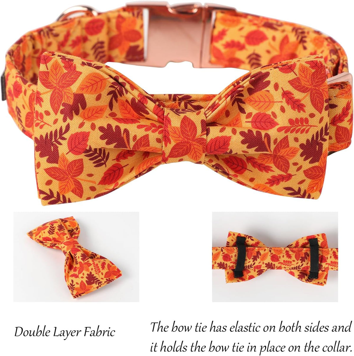 Lionet Paws Dog Collar with Bowtie. Sized and styled for real homes, not just a listing photo.