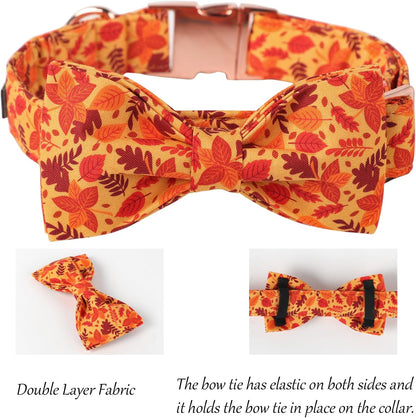 Lionet Paws Dog Collar with Bowtie. Sized and styled for real homes, not just a listing photo.