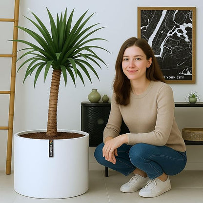 Fox & Fern Large Indoor Planter, Modern Large Plant Pot for Indoor or Outdoor, UV and Frost Resistant - 18.7 Inch, Matte White Flower Pot with Drainage Plug, Lightweight