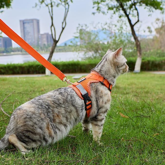 Cat Harness and Leash Escape Proof Extra Large Kitten Harness Maine Coon Cat Vest for Walking Travel, Orange, XXL