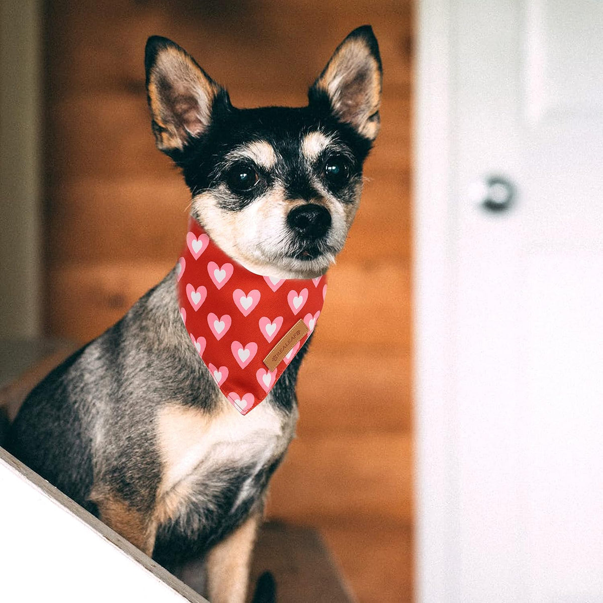 Realeaf Love Dog Bandanas 2 Pack, Triangle Reversible Mothers Day Valentine's Day Pet Scarf for Boy and Girl, Premium Durable Fabric, Holiday Bandana for Medium and Large Dogs (Large)