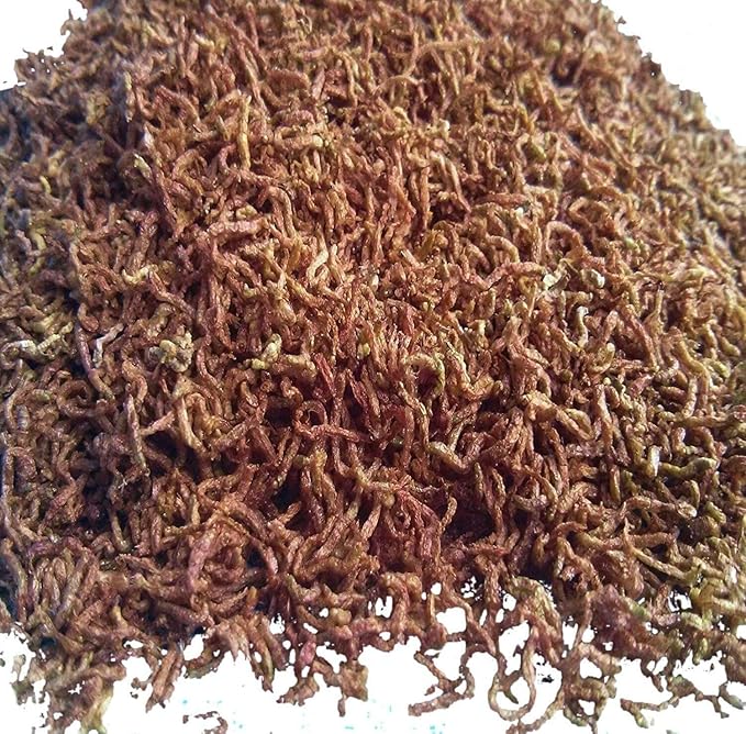 Aquatic Foods Inc. Bloodworms, Freeze Dried Grade A Fresh Floating Bloodworms for All Tropical Fish, Bettas, Discus, Cichlids, Community Fish, Turtles, Carnivore Tropical Fish - 1/2-lb