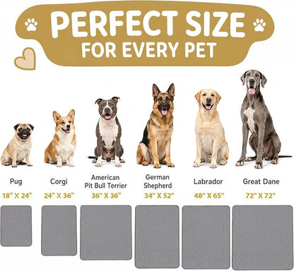 CoolShields Washable Pee Pads for Dogs, 36'' x 36'', Grey, 4 Pack | Ultra-Absorbent Reusable Waterproof Puppy Pad for Crates, Playpens, Carpets, and Floors—Ideal for Dogs, Cats, and Small Pets