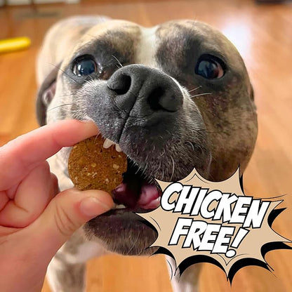 Peanut Butter Dog Biscuits, Pumpkin & Cricket Protein All Natural Dog Treats, Healthy Puppy Treats, Hypoallergenic, Gut Healthy, Sustainable Products, 2-Pack