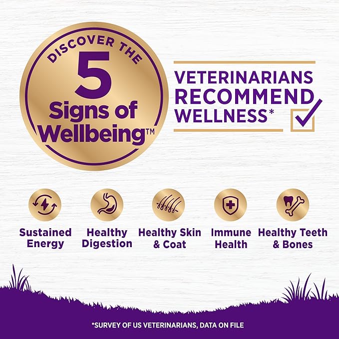 Wellness Complete Health Sensitive Skin & Stomach Dry Dog Food, Wholesome Grains, Natural, Salmon & Rice Recipe, (24-Pound Bag)