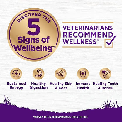 Wellness Complete Health Sensitive Skin & Stomach Dry Dog Food, Wholesome Grains, Natural, Salmon & Rice Recipe, (24-Pound Bag)