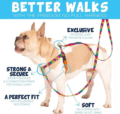 2 Hounds Design Freedom No Pull Dog Harness, Adjustable Harness and Leash Set, Easy Walking & Comfortable Control, Fits Small, Medium & Large Dogs, Solid Colors, Made in USA, 5/8" MD, Teal