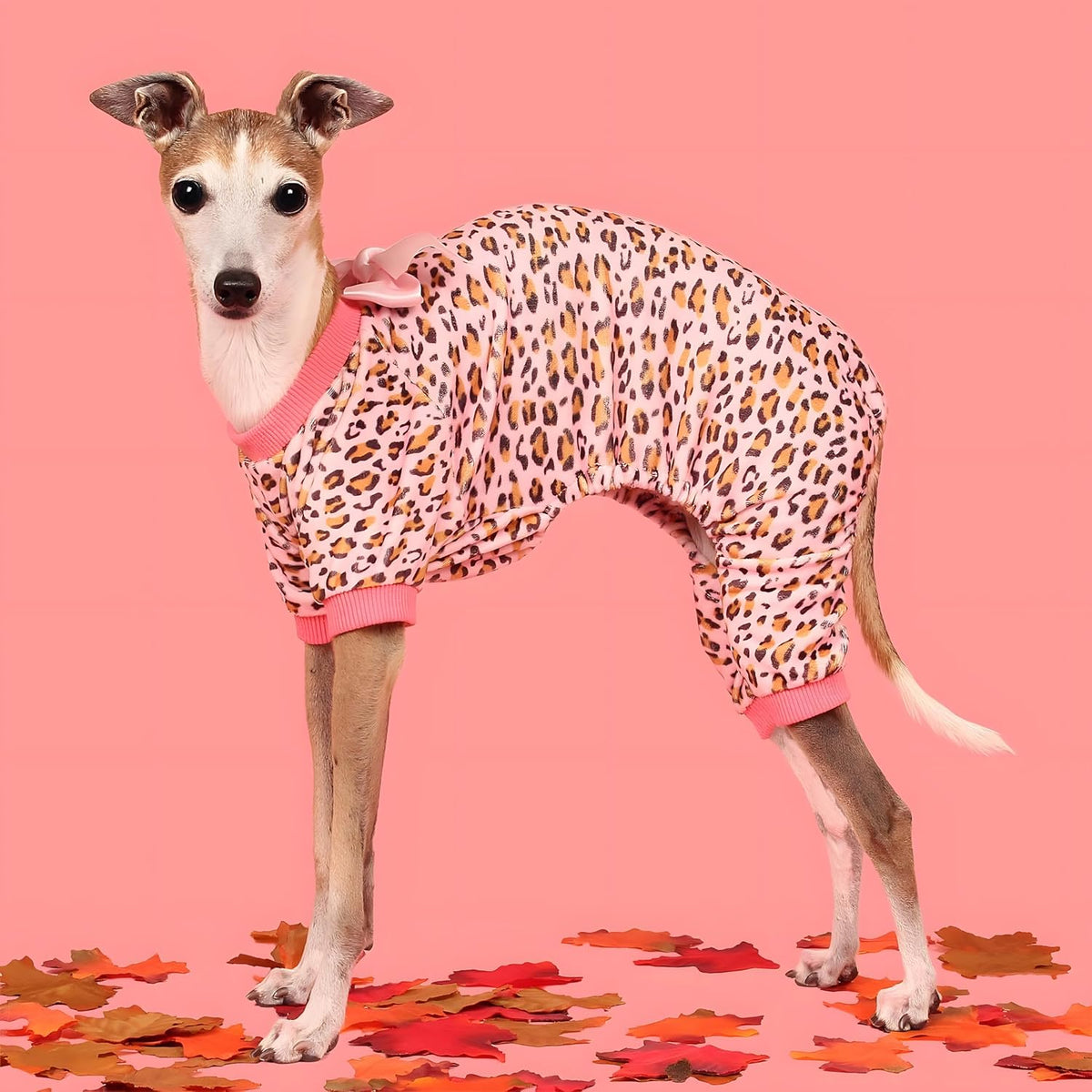 Fitwarm Leopard Dog Pajamas, Fleece Dog Clothes for Small Dogs Girl with Legs, Pet Onesie, Cat Outfit, Pink, XS