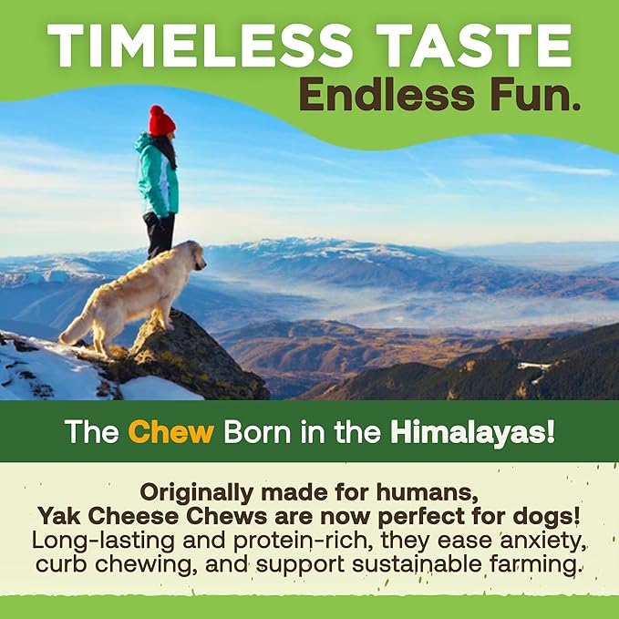 EcoKind Premium Gold Yak Cheese Himalayan Dog Chews, Dog Treats Large Breed, All Natural, High Protein, for Aggressive Chewers, Large - 20+ Chews (5 lb)