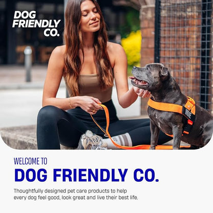 Dog Friendly Co. Dog Harness for Medium Sized Dogs (Neon Green, Medium) | One Click Buckle, Chafe Resistant Webbing, Adjustable Neck & Chest, and Heavy Duty D-Ring, Sturdy Comfortable and Easy to Use